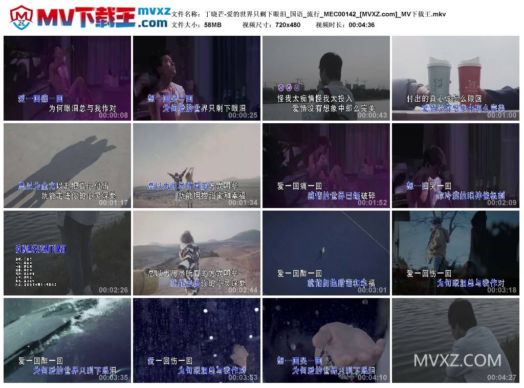 丁晓芒-爱的世界只剩下眼泪_国语_流行_MEC00142